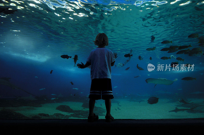 孩子在水族馆