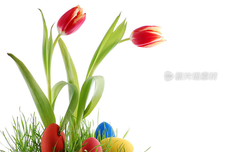 郁金香和五颜六色的复活节彩蛋