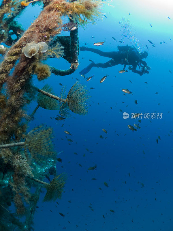 潜水员在一艘沉船上