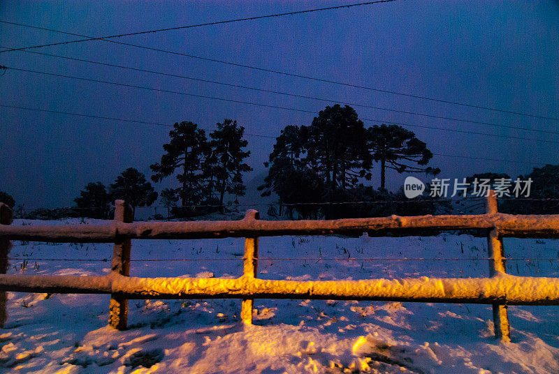 巴西圣卡塔琳娜的乌鲁比西农场被雪冻住了