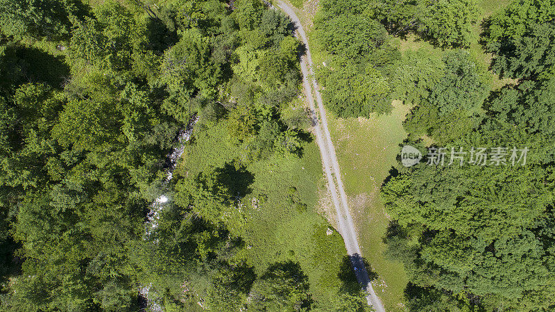 从空中俯瞰宾夕法尼亚州森林中的道路