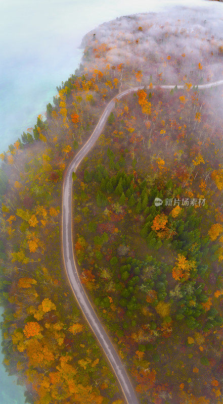 鸟瞰图的道路通过森林的惊人的秋天颜色的道路通过森林的惊人的秋天颜色