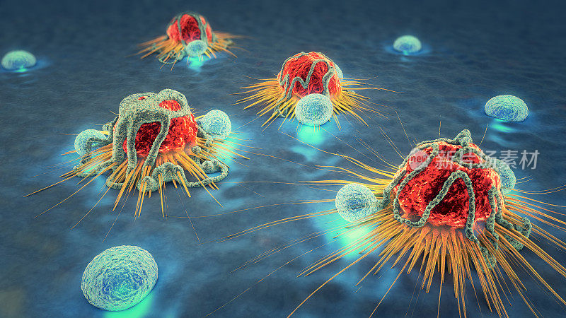 癌细胞和淋巴细胞的3d插图