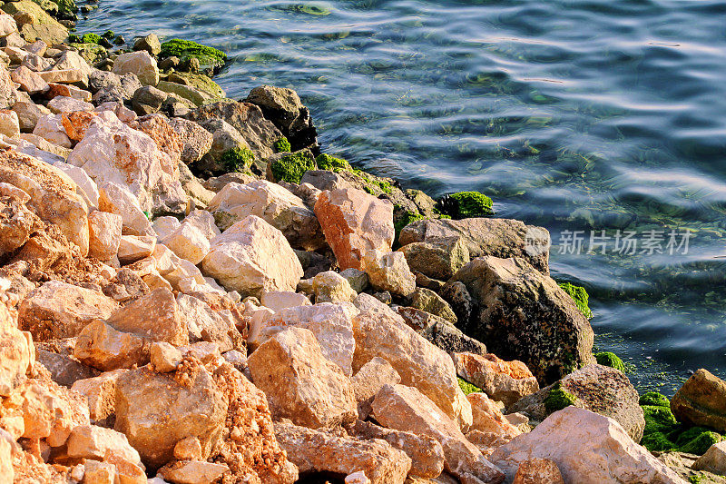 海中一块岩石上的绿藻。石、石、绿藻、海、岸、石。美丽的风景，海边，自然光，自然杰作，岩石在海滩。