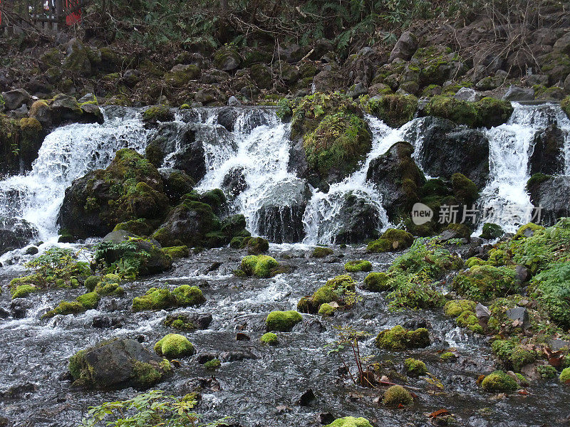 早春的泉水