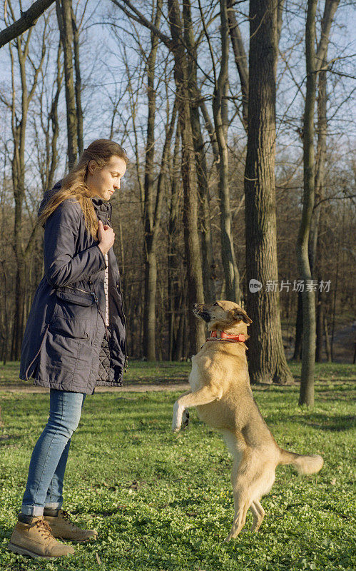 动物学家女孩训练她的狗，狗跳。拍摄电影