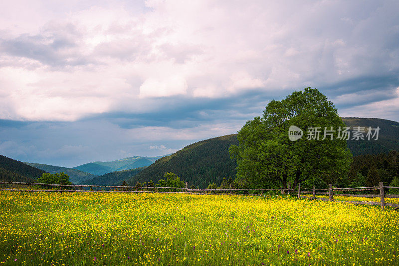 阴天下的山村