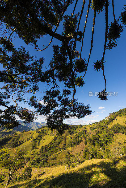 米纳斯吉拉斯南部的风景有山和树，Gon?alves