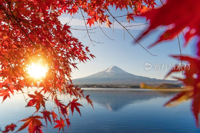 早晨的富士山和川口湖，秋季的富士山在山町。