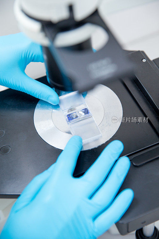 研究人员在显微镜上定位DNA样本