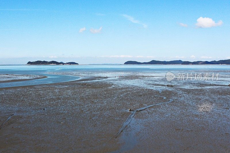 在韩国黄海滩涂Vd741