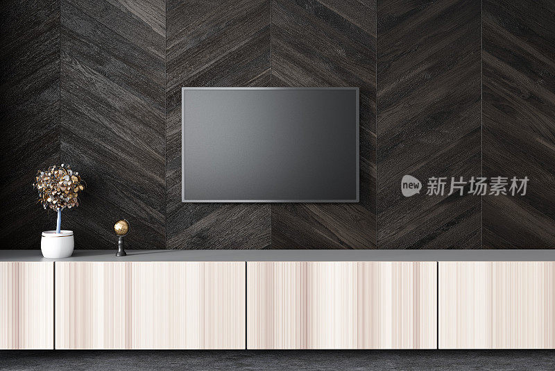 黑色客厅墙上的平板电视