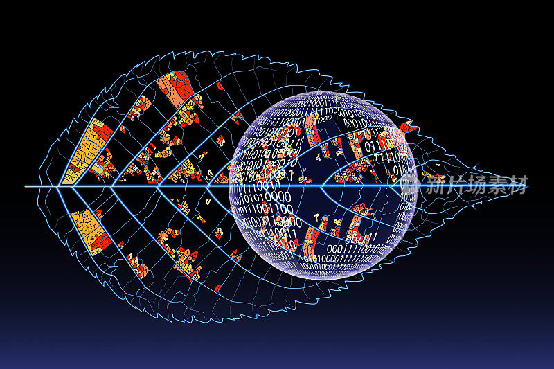 通过植物叶片和叶脉描绘全球变暖和环境