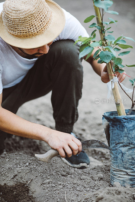 春天，人们在户外植树