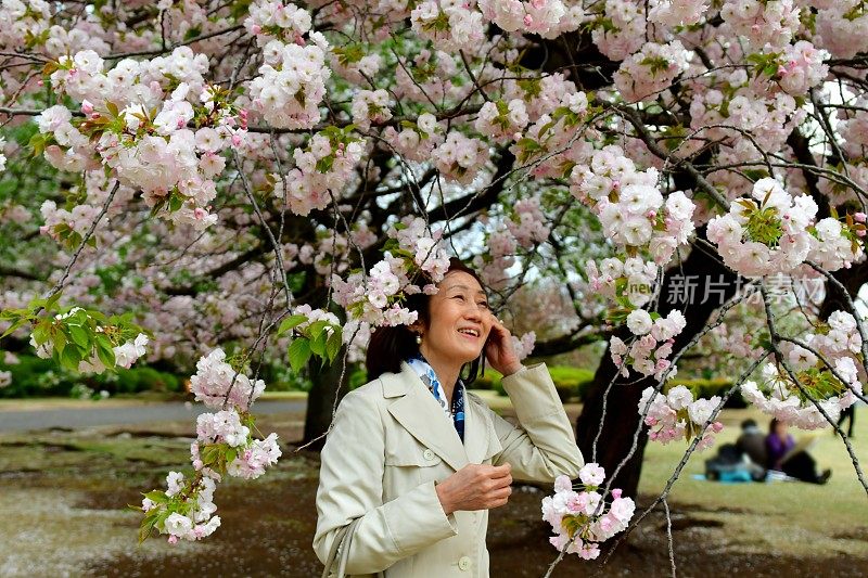 日本女子在东京赏樱花