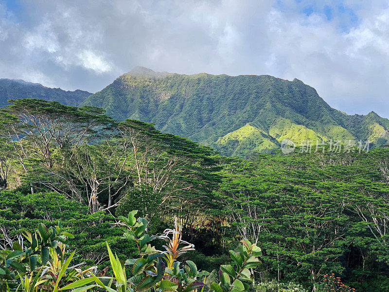 夏威夷考艾岛，郁郁葱葱的Makaleha山