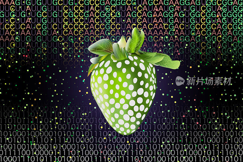 转基因的绿草莓和白草莓，还有RNA和二进制代码