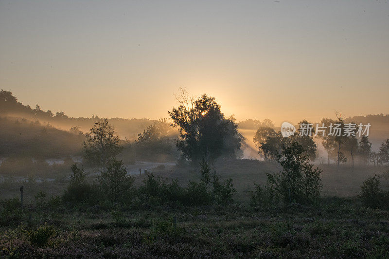 雾希思场景