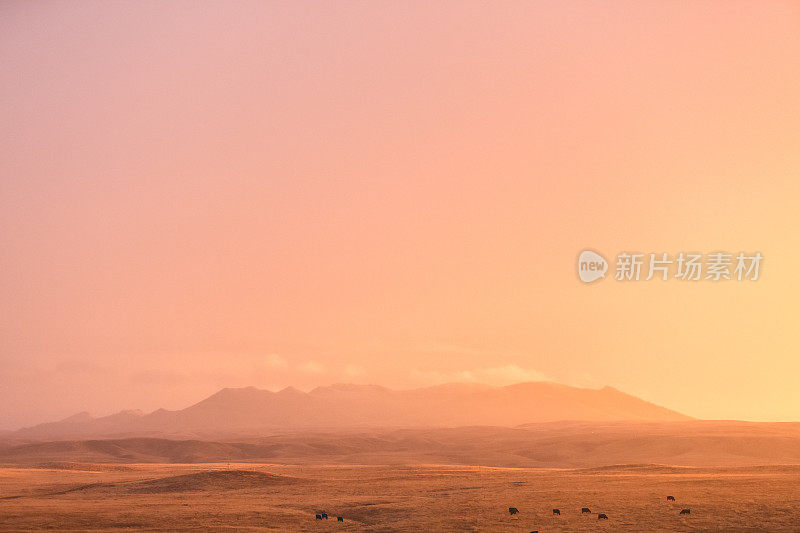 梦幻的日落和蒙大拿山景观