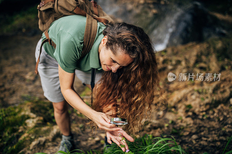 探索自然界植物的生物学家