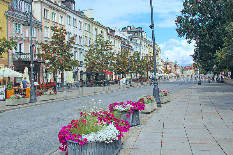 鲜花装点城市街道。华沙的城市性质