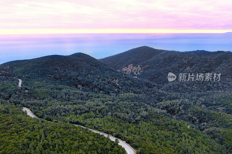 鸟瞰图的道路在森林朝向大海，托斯卡纳，意大利