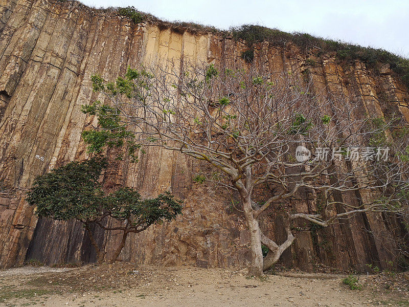 玄武岩石柱，西贡东郊野公园，香港联合国教科文组织世界地质公园