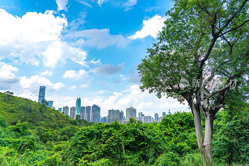 中国深圳美丽的天际线景观