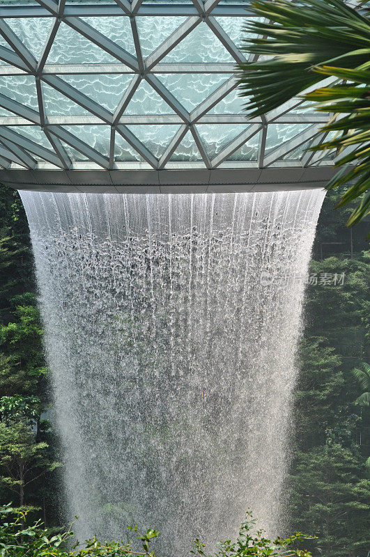 朱伊樟宜机场的水景