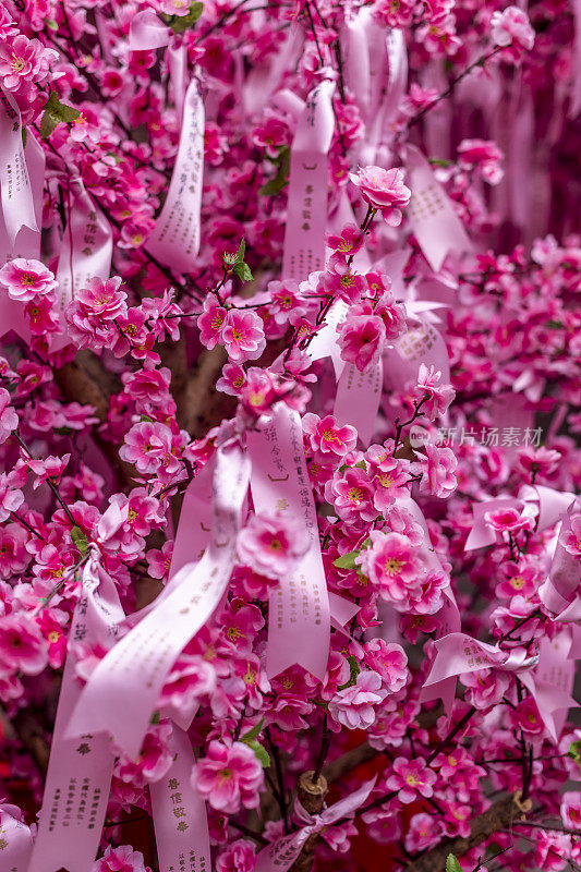 粉红色的丝带点缀在盛开的樱桃花丛中
