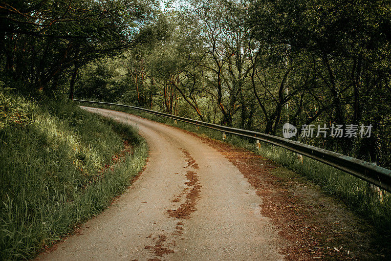 穿过自然区域的道路