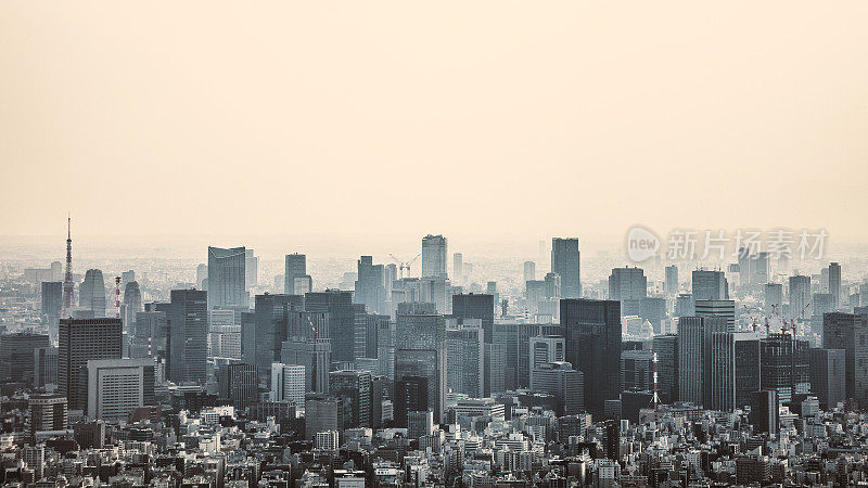 大城市景观――日本东京