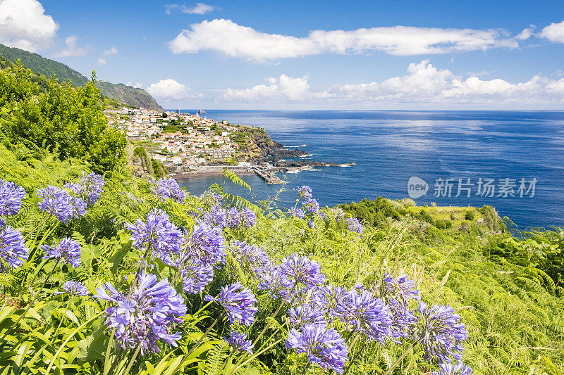 马德拉岛塞克斯海岸村庄前的尼罗河百合