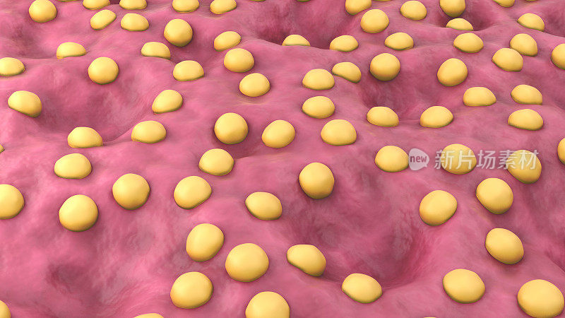 黄热病病毒粒子的电子显微图，3D渲染