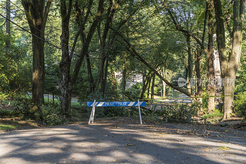 这条路由于郊区的大风而被封锁了。一场风暴过后，一棵倒下的树挡住了新泽西州一个小镇的街道。