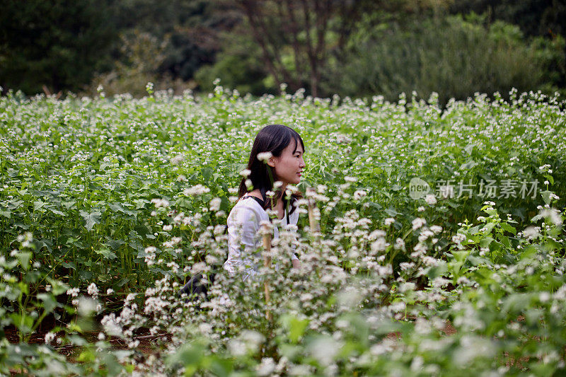 美丽的年轻女子在花田拍照