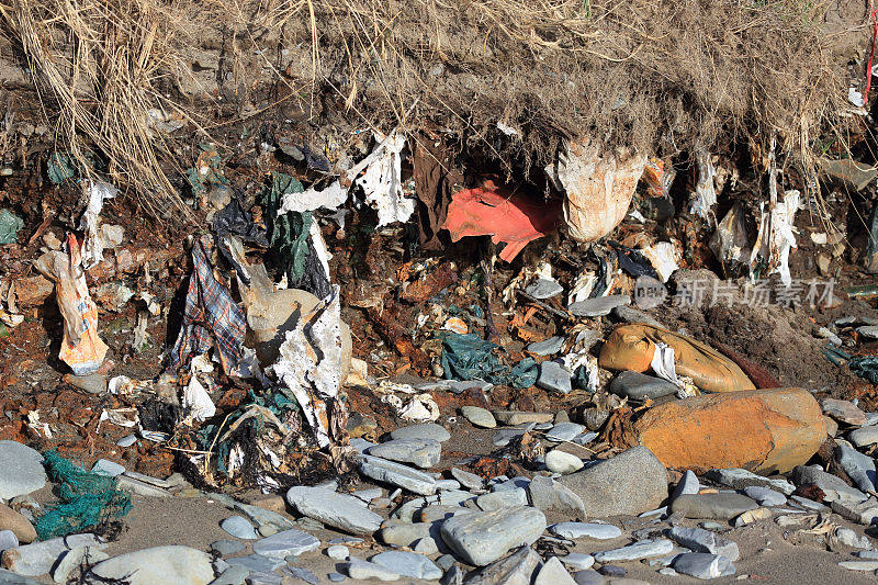 垃圾来自海滨的旧垃圾场
