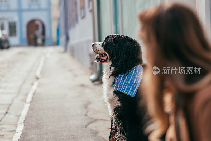 年轻女子和她心爱的狗在户外