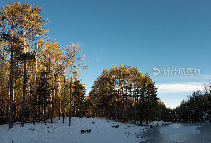 加拿大安大略省大雪后的日落林地