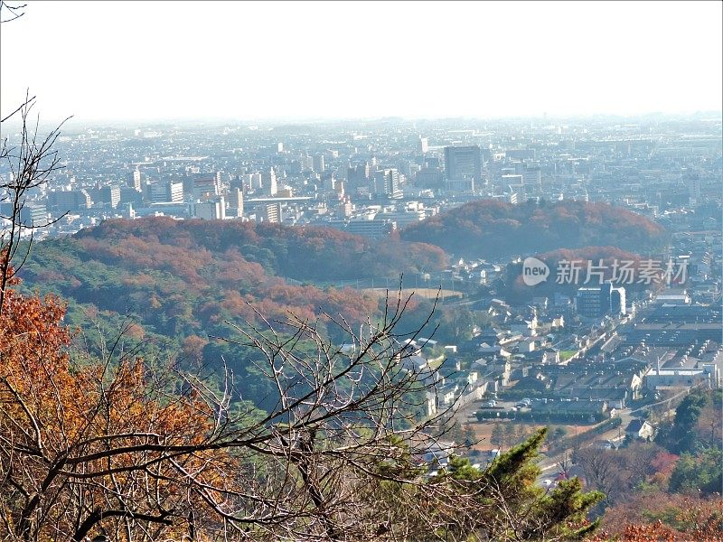 日本。12月。大田市的全景从邻居的山。