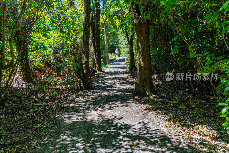 新西兰陶波怀拉基公园的步道