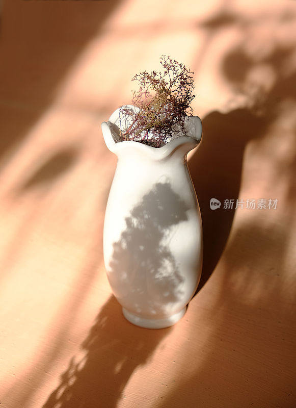 白色花瓶，干花，桃色，中性背景，投下阴影。简约现代的室内装饰理念。侘寂风格美学