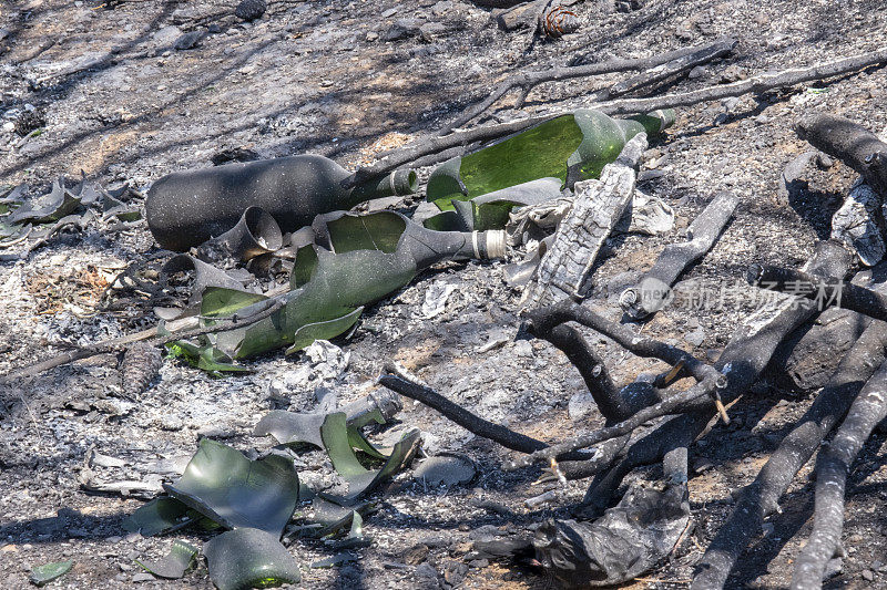 森林大火后的枯枝、灰烬和破碎的玻璃瓶