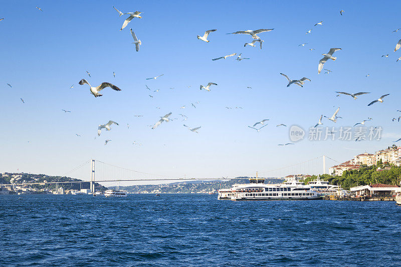 美丽的城市是İstanbul，土耳其