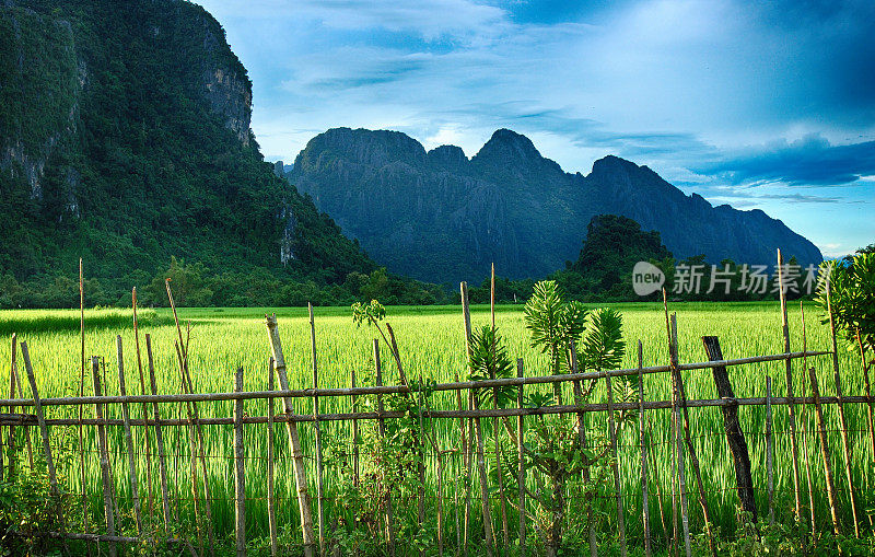 绿色的稻田和阳光下的石灰岩山脉，老挝旺旺