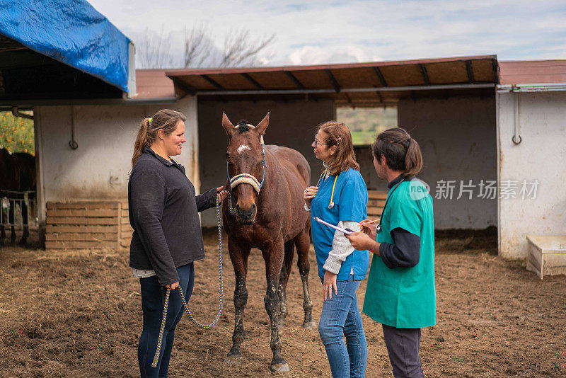 女兽医和她的助手在田里和他的主人一起检查一匹马。