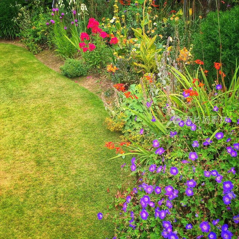 修剪花园中的草坪和花坛