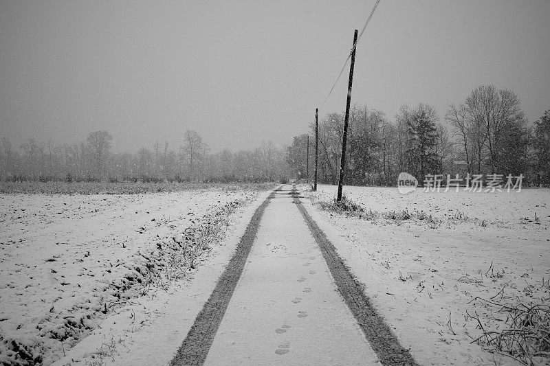 公园在冬天下雪