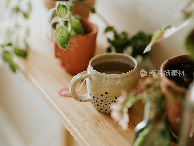 在家里用陶瓷茶杯泡绿茶