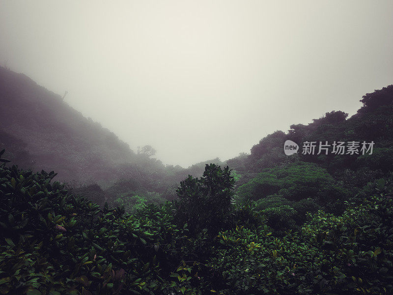 哥斯达黎加蒙特维达云雾森林生物保护区雾蒙蒙的森林上空的云朵